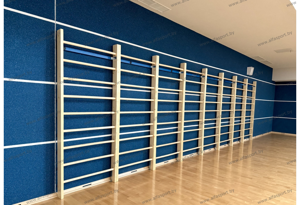 БФСО Динамо