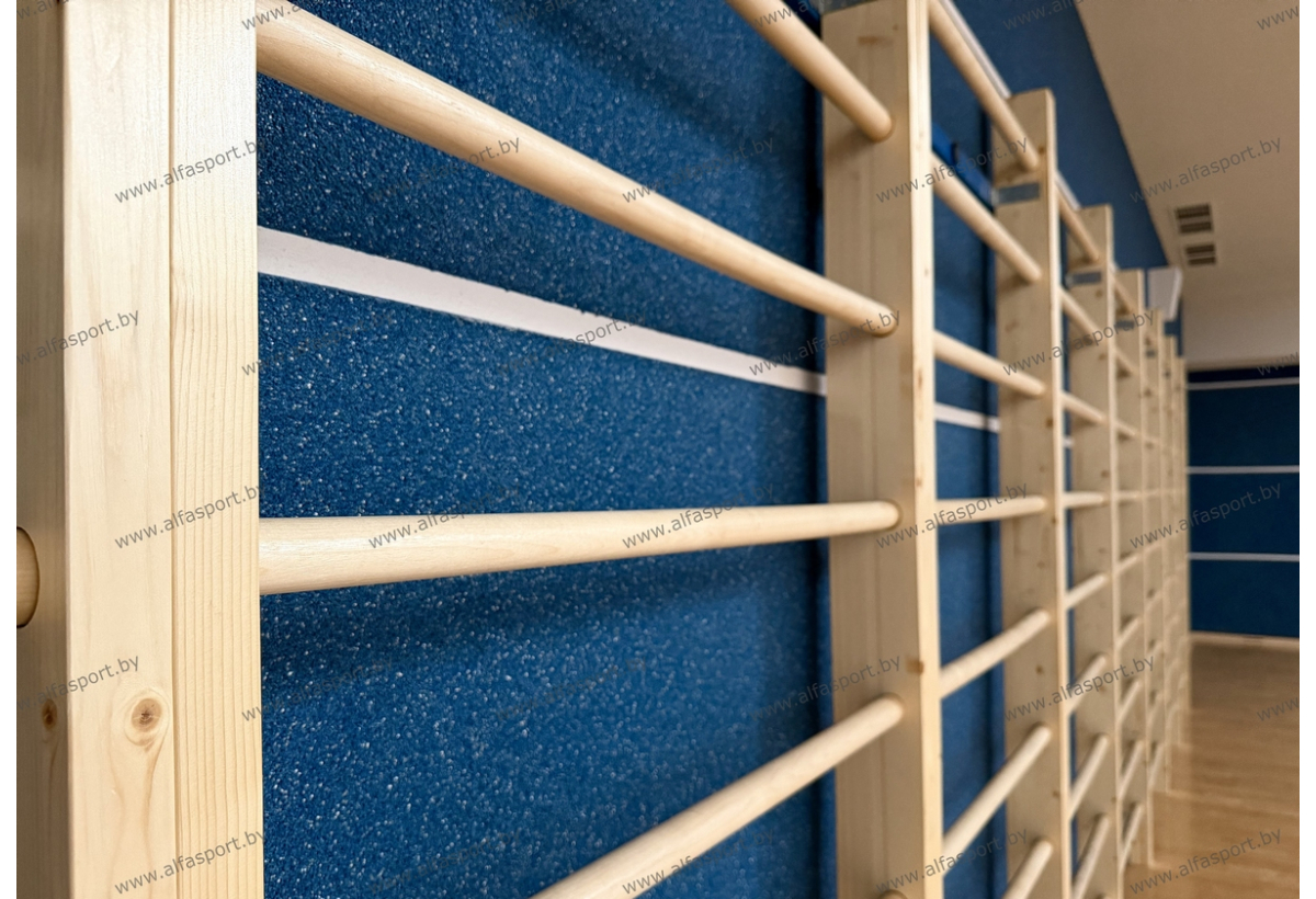 БФСО Динамо