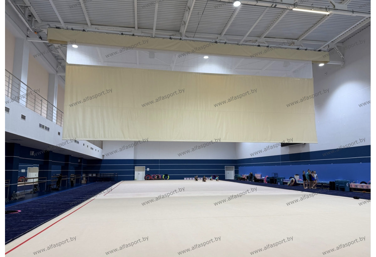 БФСО Динамо