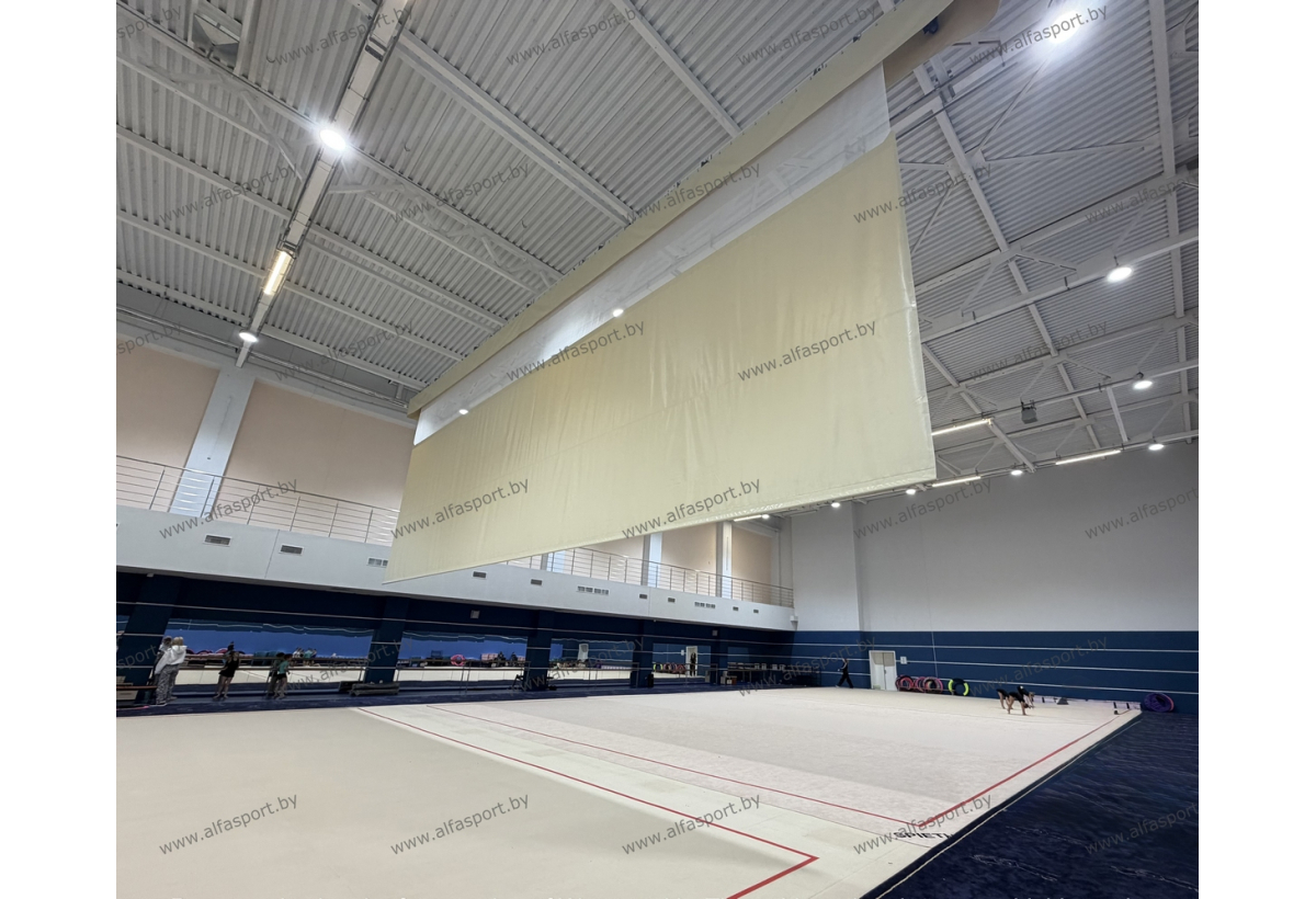 БФСО Динамо