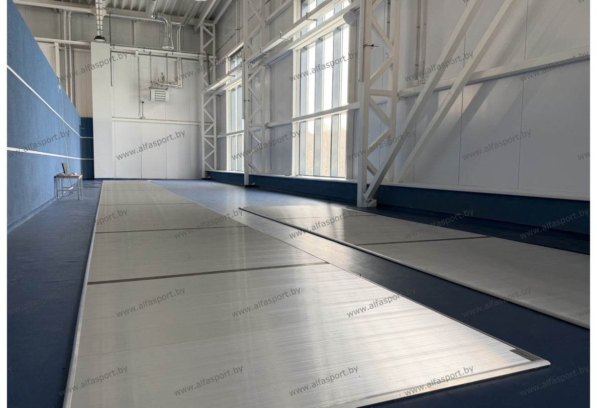 БФСО Динамо