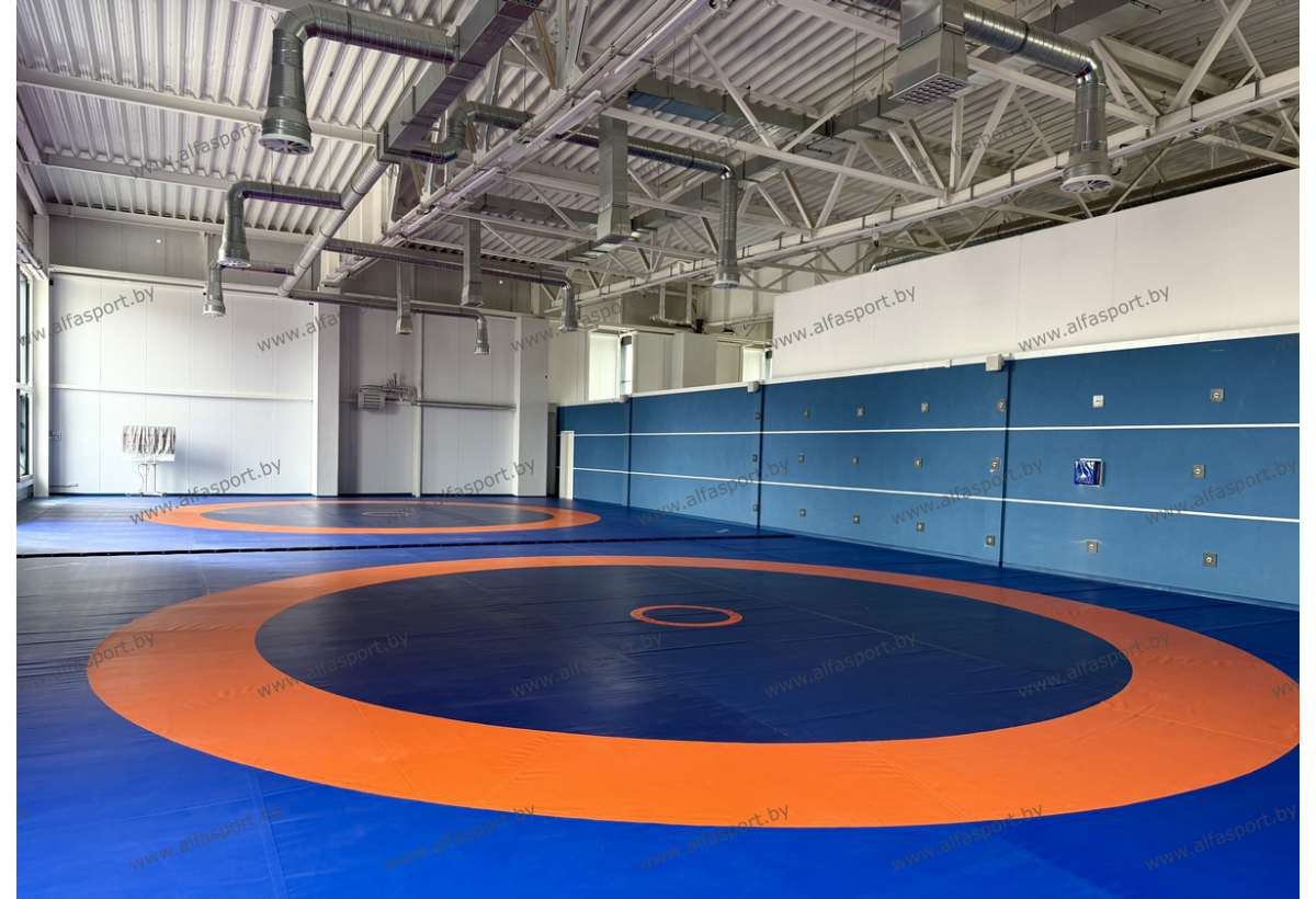 БФСО Динамо