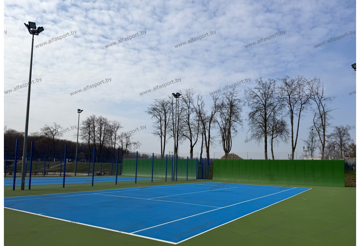 БФСО Динамо