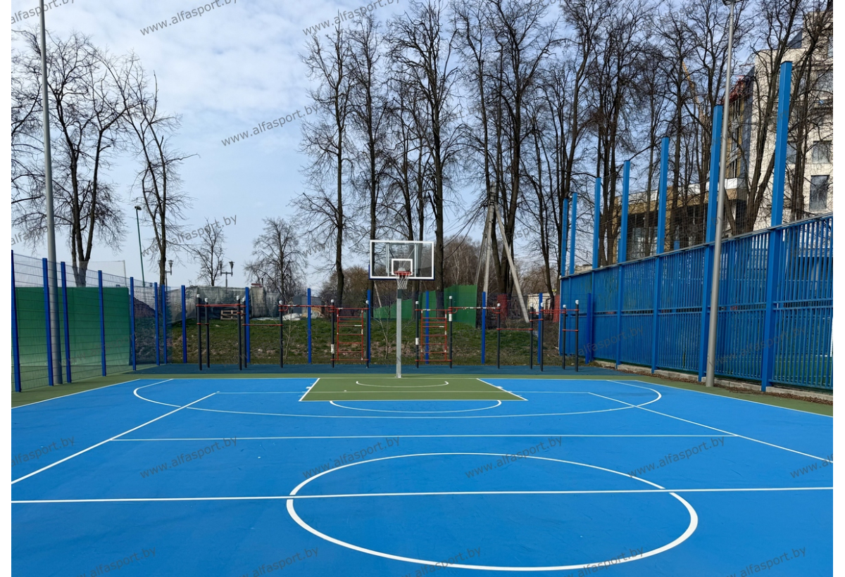 БФСО Динамо