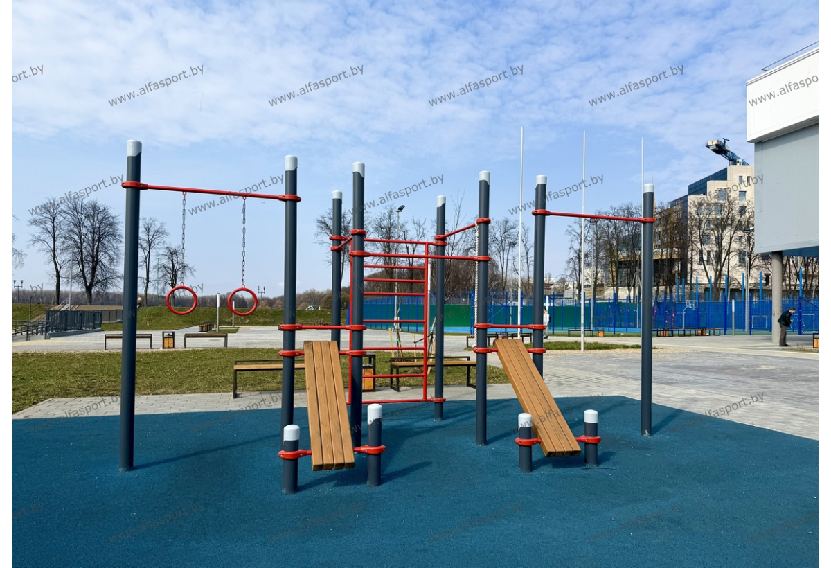 БФСО Динамо