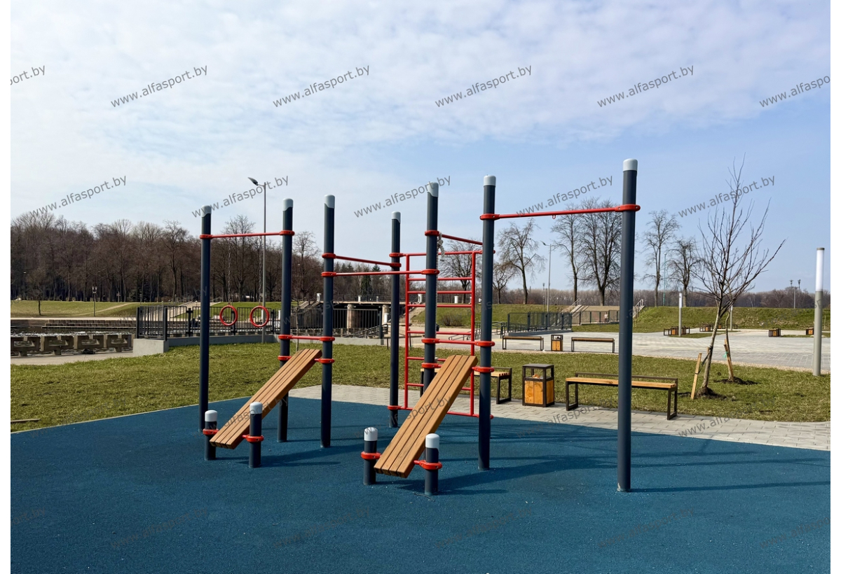 БФСО Динамо