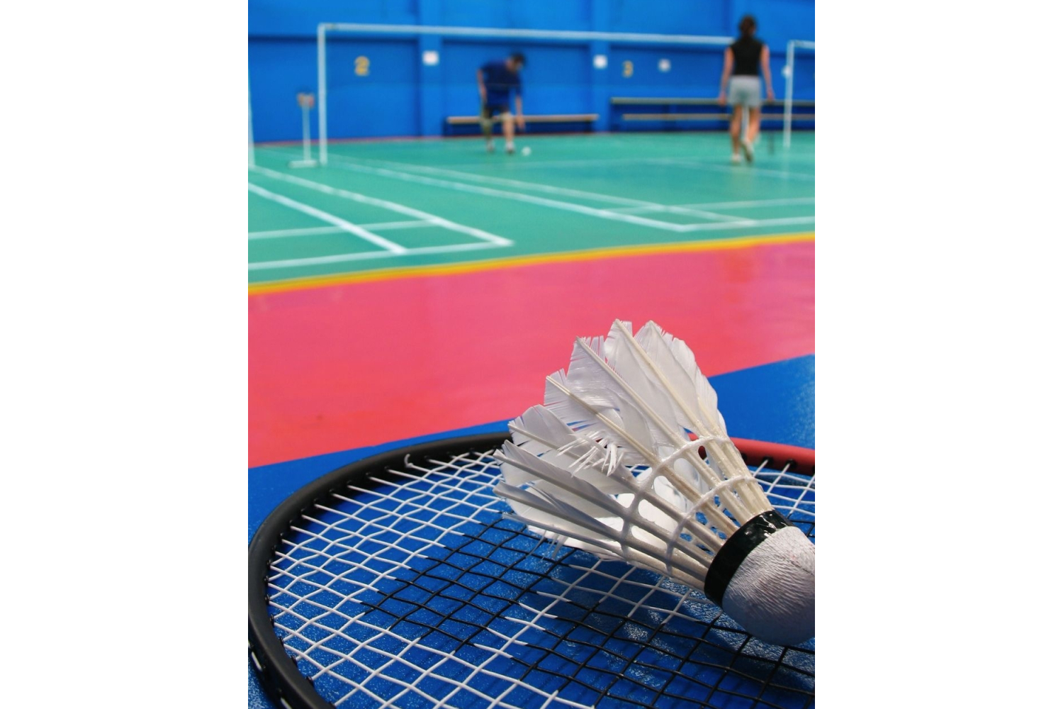 Badminton: types, rules, court sizes and features
