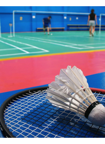Badminton: types, rules, court sizes and features