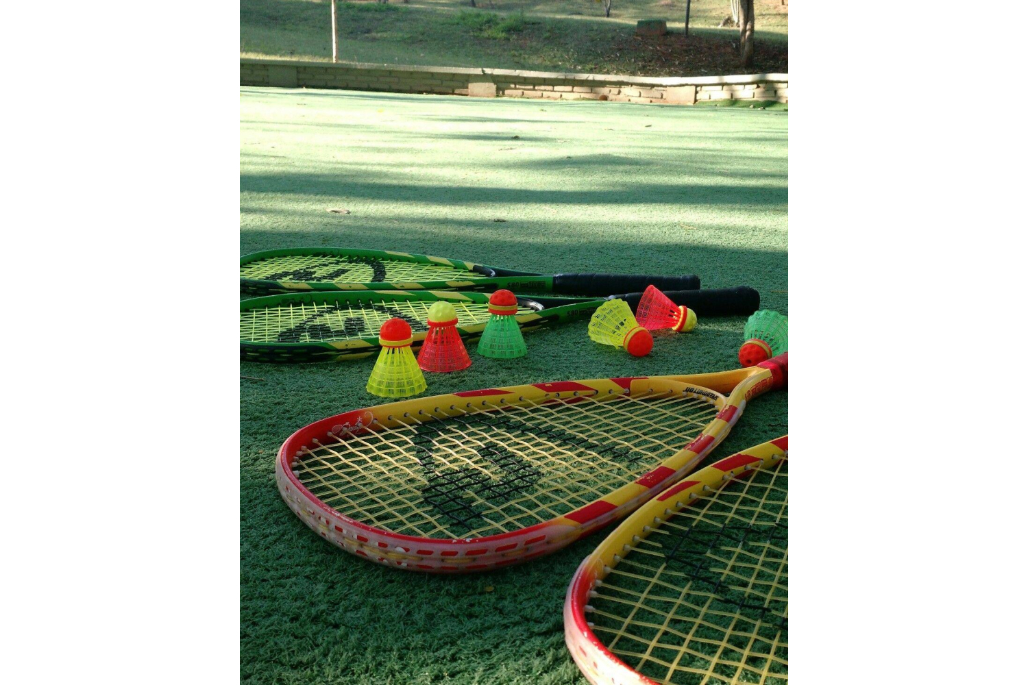 Спидминтон: что это за игра и чем она отличается от бадминтона