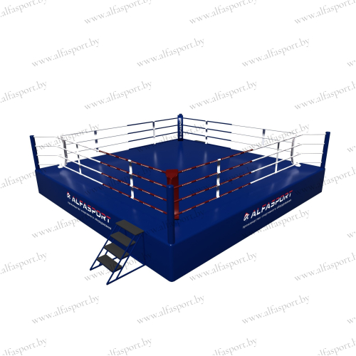 Boxing ring on a platform 