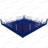 Floor boxing ring