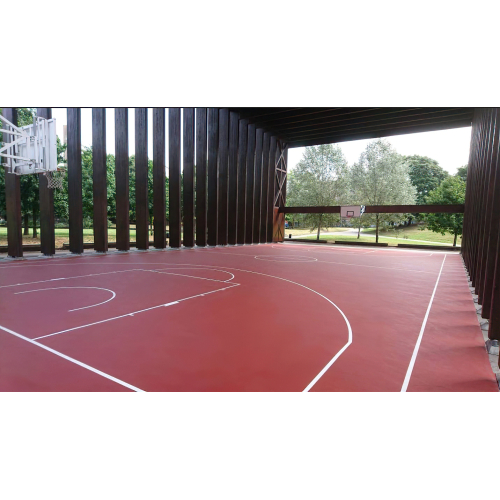 CASALI COLORSINT/COLORSINT W.S.