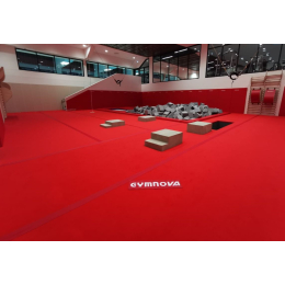 Рулонная дорожка