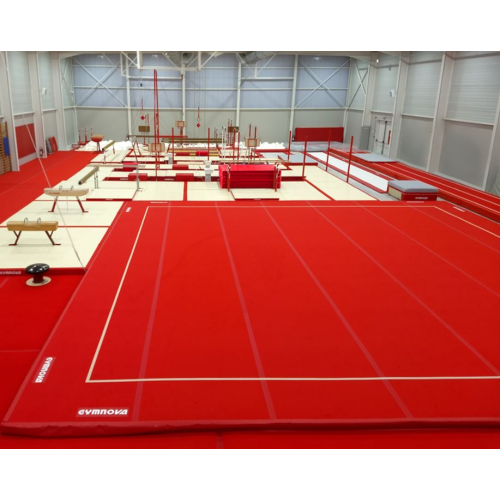 Гимнастический помост 14х14 (рулонные дорожки)