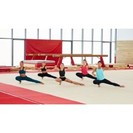 Пружинный гимнастический помост 13х13 (ковролиновое покрытие)