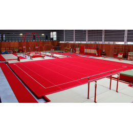 Пружинный гимнастический помост 13х13 (рулонные дорожки)