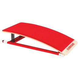 Динамический мостик