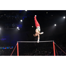 Перекладины для соревнований Мontréal (FIG approved)