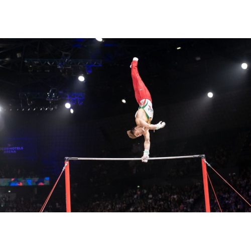 Перекладины для соревнований Мontréal (FIG approved)