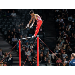 Перекладины для соревнований Мontréal (FIG approved)