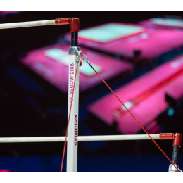 Cоревновательные разновысокие брусья RIO