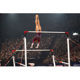 Cоревновательные разновысокие брусья RIO