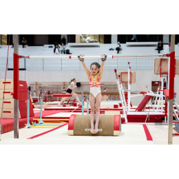 Гимнастический механизм отталкивания