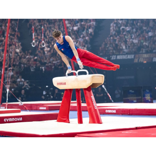 Соревновательный маховый конь (натуральная кожа) (FIG approved)