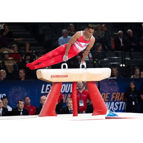 Соревновательный маховый конь (натуральная кожа) (FIG approved)