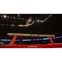 Соревновательные бревна со стандартными ножками 