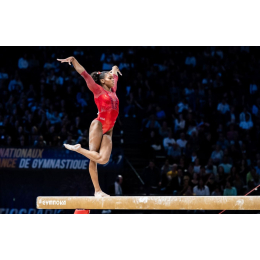 Соревновательные бревна со стандартными ножками 