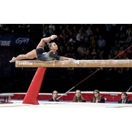 Соревновательные бревна со стандартными ножками 