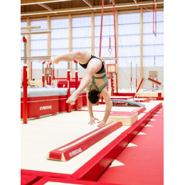 Бревно для обучения из пеноматериала