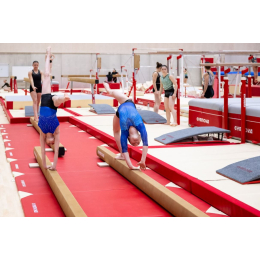 Низкие бревна