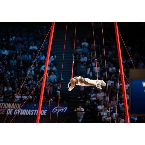 Соревновательная рама с кольцами (регулируемая упругость) (FIG approved)