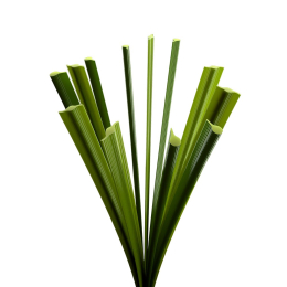 Искусственная трава Italgreen DOUBLE X