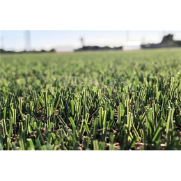 Искусственная трава Italgreen LESMO 3S